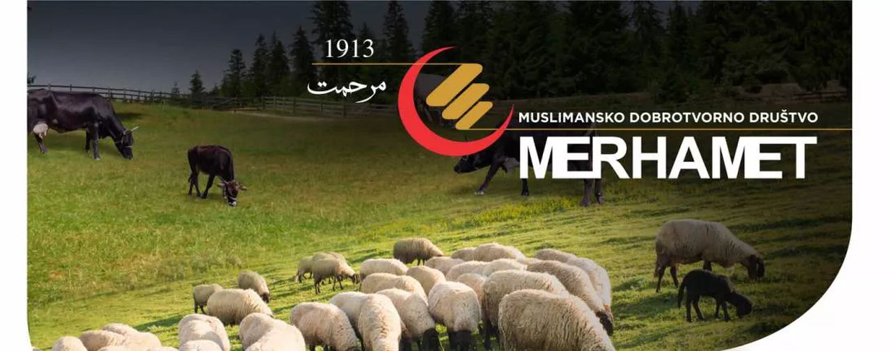 Počela 'Merhametova' akcija: Kurbani u BiH, Mekki i Australiji