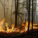 Civilna zaštita Travnik uputila apel građanima: Ne palite vatru na otvorenom prostoru