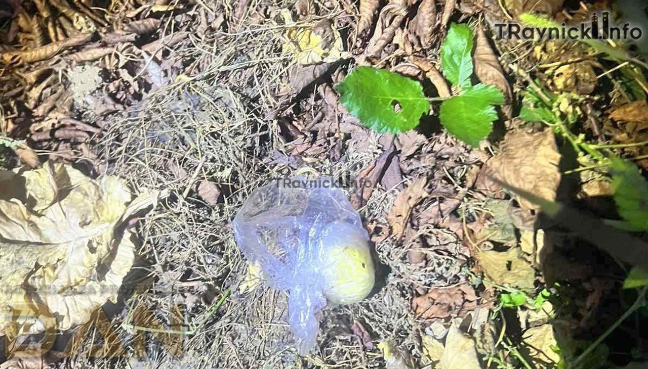 Sinoć na Bašbunaru realizovane tri uspješne akcije policije