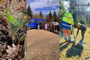 Travnički i viteški šumari sade korijene održive budućnosti