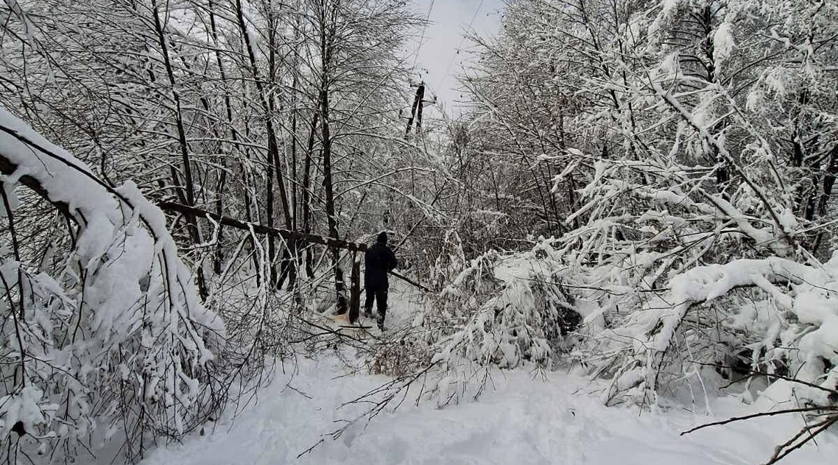 att.h8Y4s7XaYPO-yHZyMW8Tm5IJIc8GDXMB_QnrTHuJ8Lg