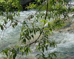 Ljeto sve glasnije kuca na vrata: Travnik ulazi u topliji i sušniji period, temperature uskoro do 30 stepeni