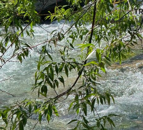 Ljeto sve glasnije kuca na vrata: Travnik ulazi u topliji i sušniji period, temperature uskoro do 30 stepeni