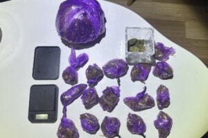 Droga, saobraćajne nezgode i stotine prekršaja: Policija tokom vikenda imala pune ruke posla u SBK/KSB