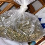 Pretres u Bugojnu: Policija pronašla oko 50 grama materije koja asocira na cannabis